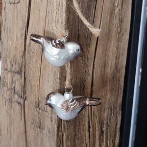 Glass Songbirds Ornament on Twine